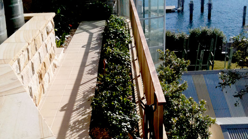 A landscaped luxury home frontage.