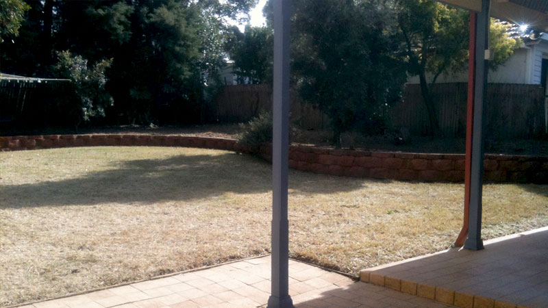 The same yard after cleanup.